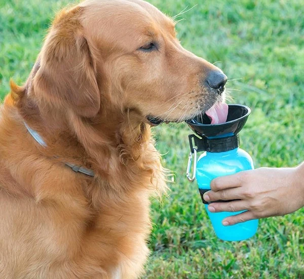 Hundewasserflasche