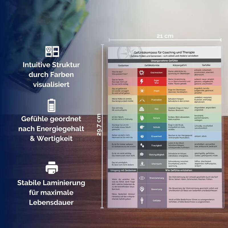 metaFox Gefühlskompass für Emotionale Intelligenz