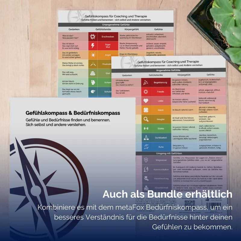 metaFox Gefühlskompass für Emotionale Intelligenz