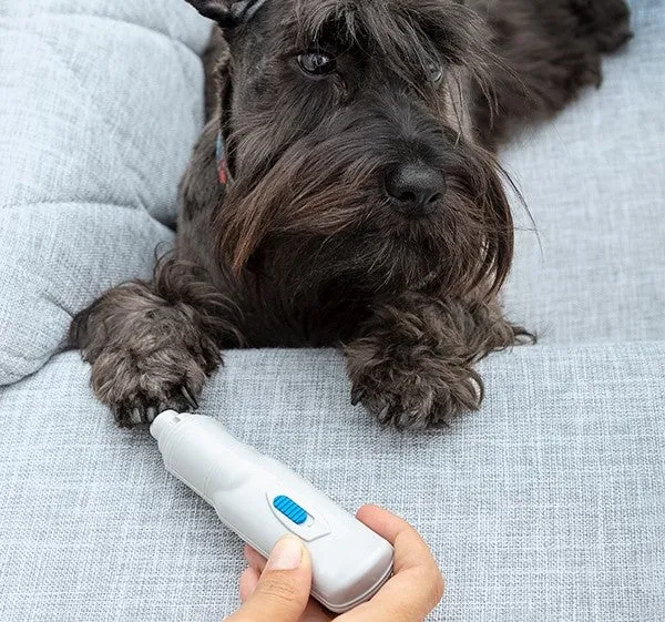 Elektrischer Nagelschleifer