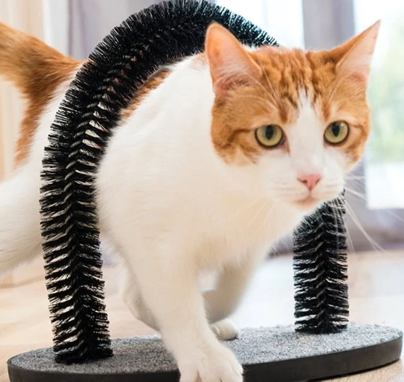 Scratcher und Grooming Arch für Katzen