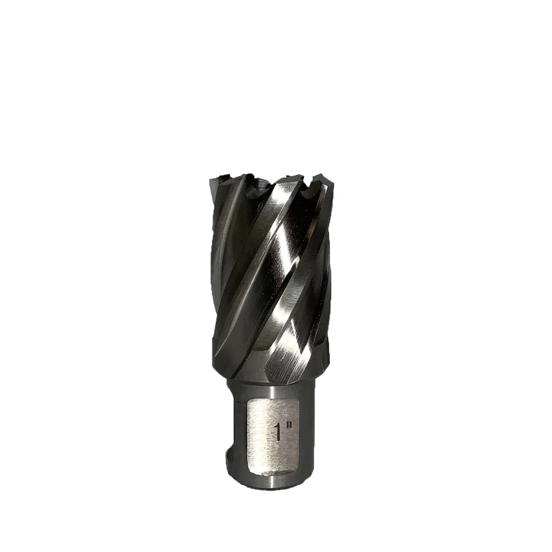 Euroboor HSS-Ringfräser 1"x1" (30 mm) 1" Tiefe - 1801123