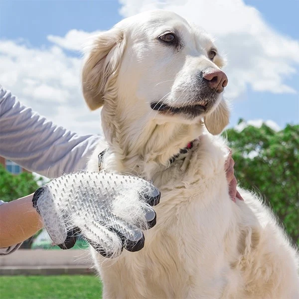 Pinsel & Massage Handschuh für Haustier