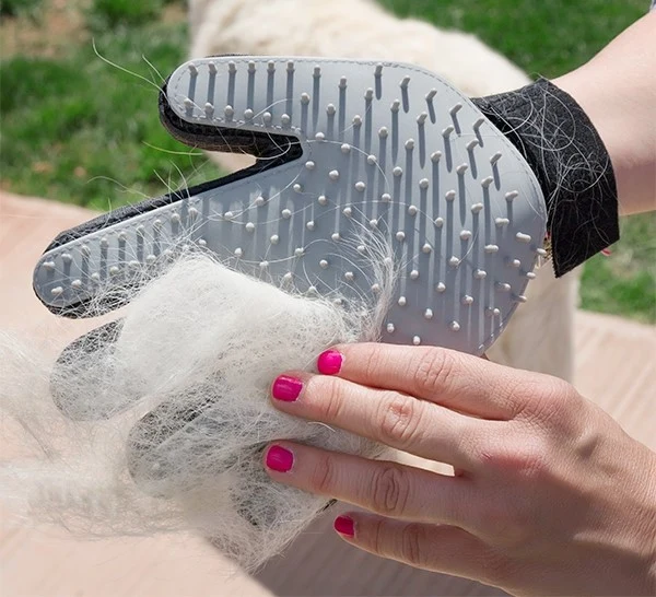 Pinsel & Massage Handschuh für Haustier