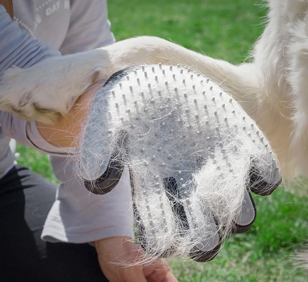 Pinsel & Massage Handschuh für Haustier