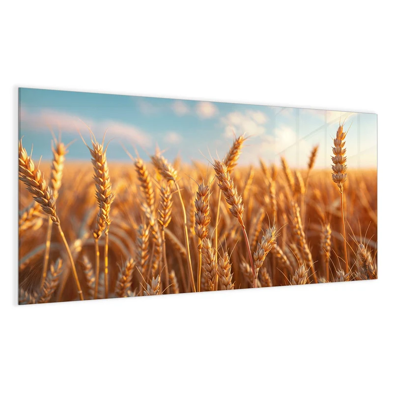 Glas Magnettafel - Reifer Weizen