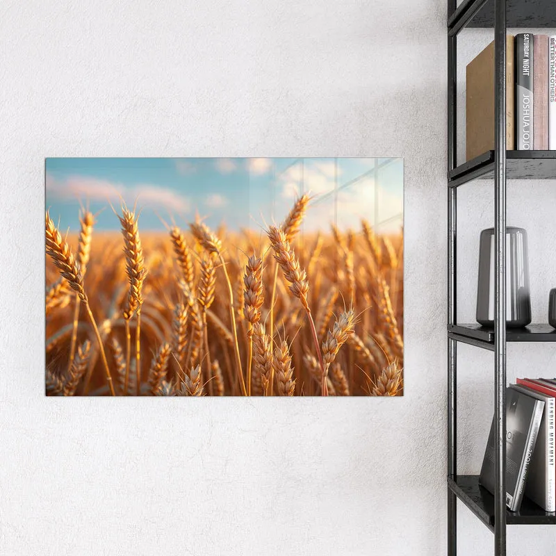 Glas Magnettafel - Reifer Weizen