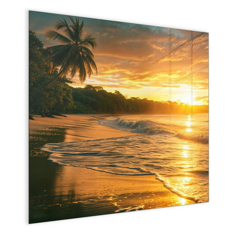 Glas Magnettafel - Palme im Abendgold