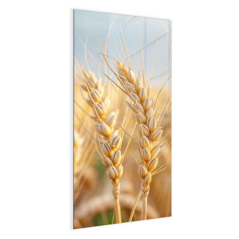 Glas Magnettafel - Weizenähren am Himmel