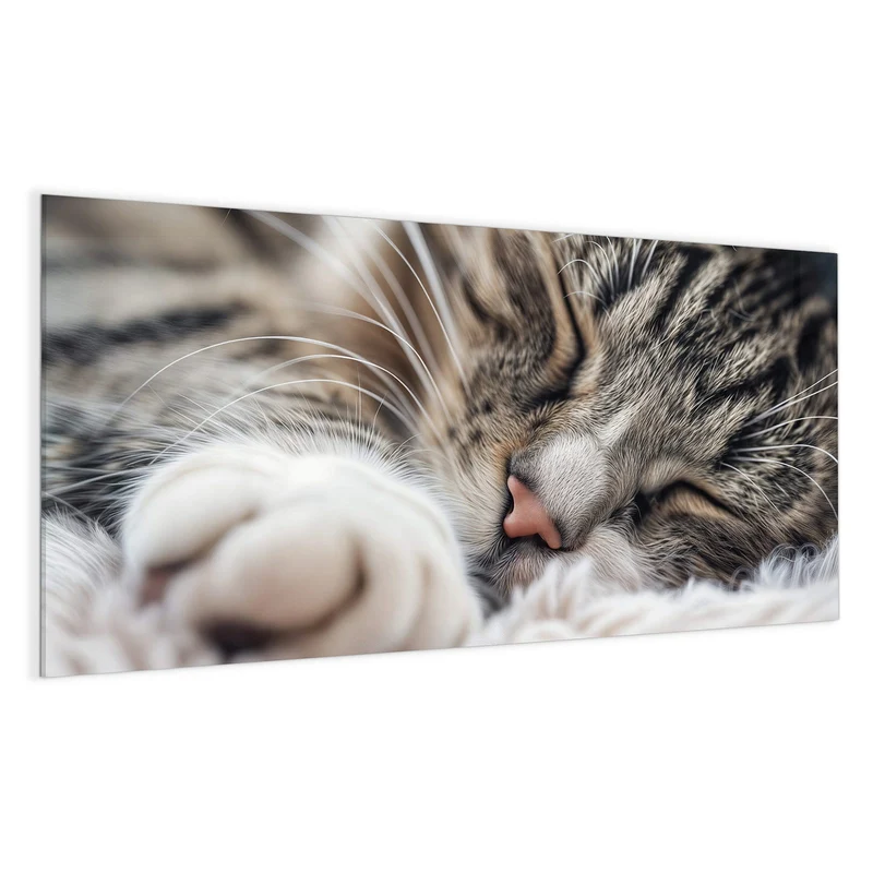 Glas Magnettafel - Schlafende Katze
