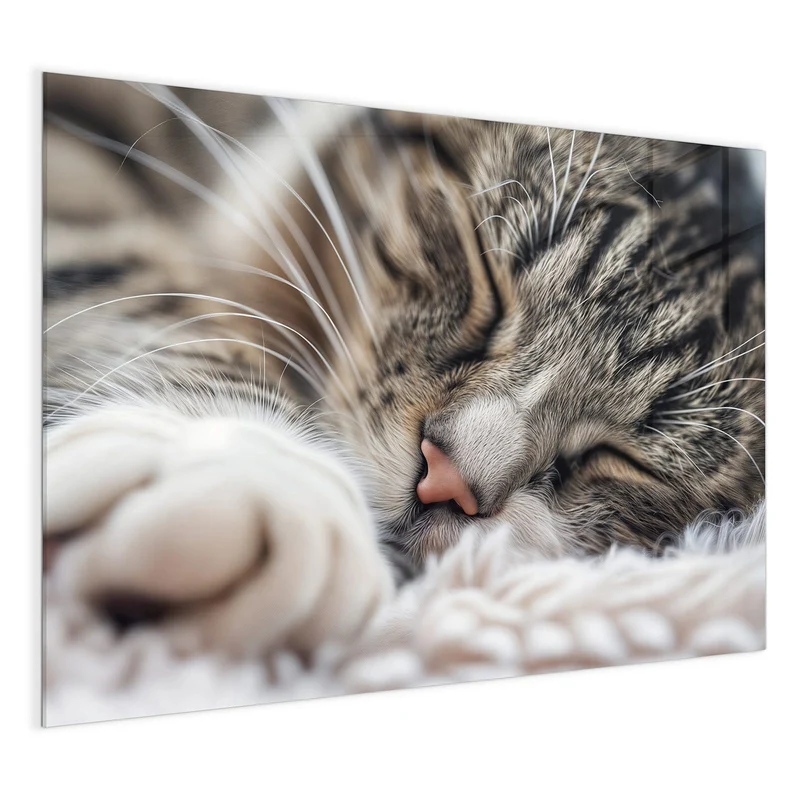 Glas Magnettafel - Schlafende Katze