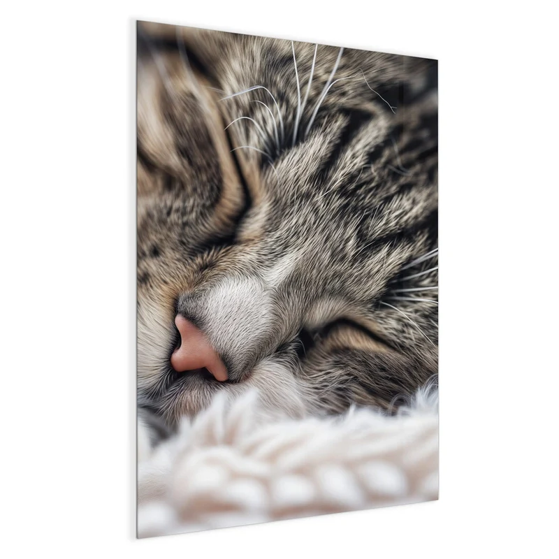 Glas Magnettafel - Schlafende Katze