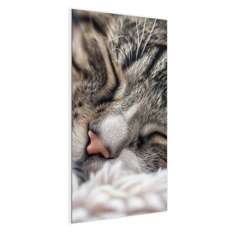 Glas Magnettafel - Schlafende Katze