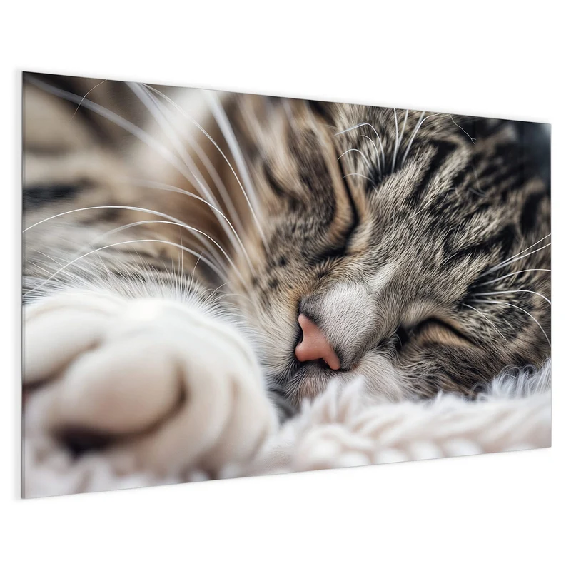 Glas Magnettafel - Schlafende Katze