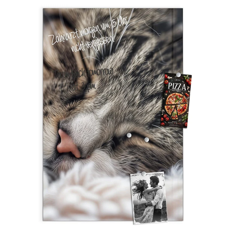 Glas Magnettafel - Schlafende Katze