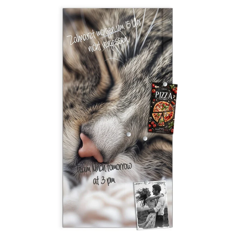 Glas Magnettafel - Schlafende Katze