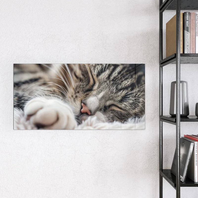 Glas Magnettafel - Schlafende Katze