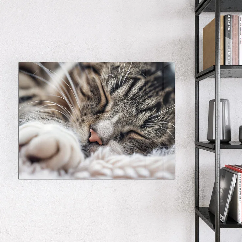 Glas Magnettafel - Schlafende Katze
