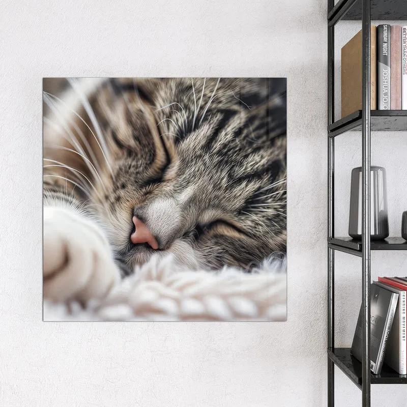 Glas Magnettafel - Schlafende Katze