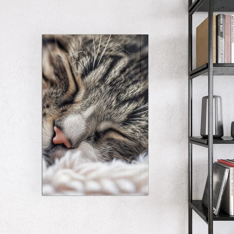 Glas Magnettafel - Schlafende Katze