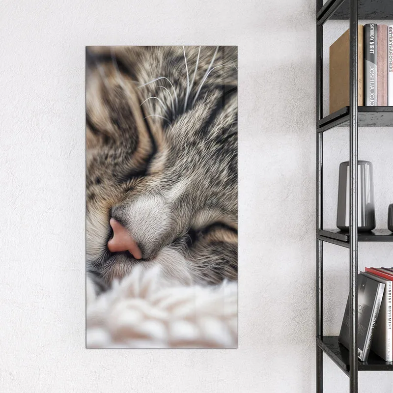 Glas Magnettafel - Schlafende Katze