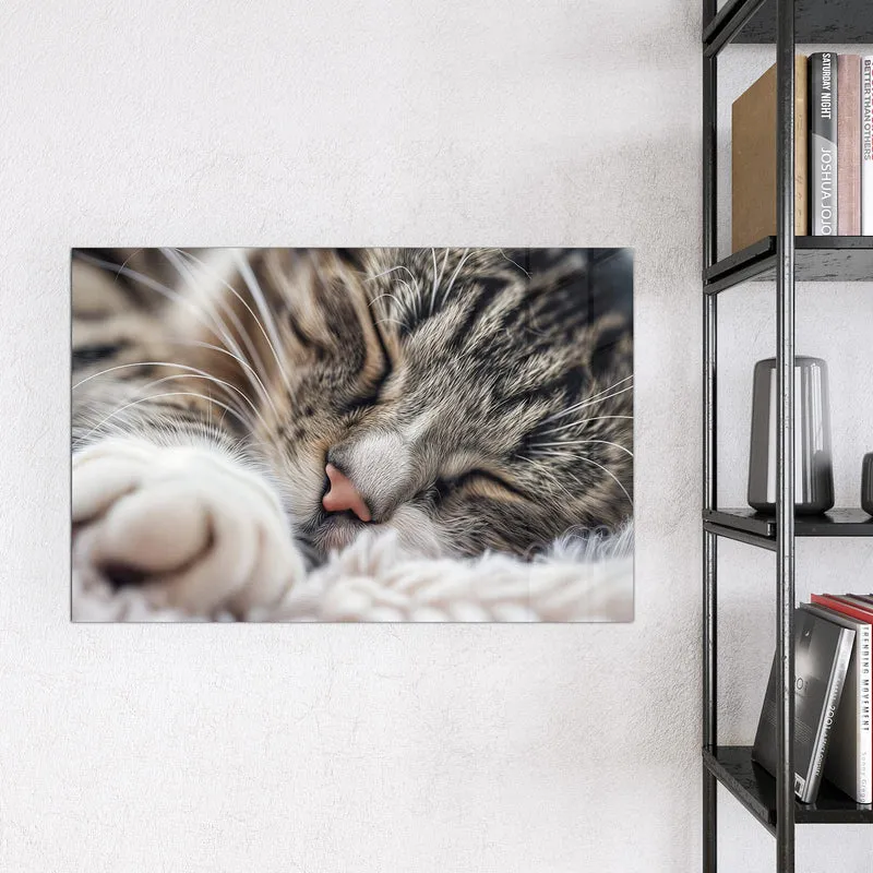 Glas Magnettafel - Schlafende Katze