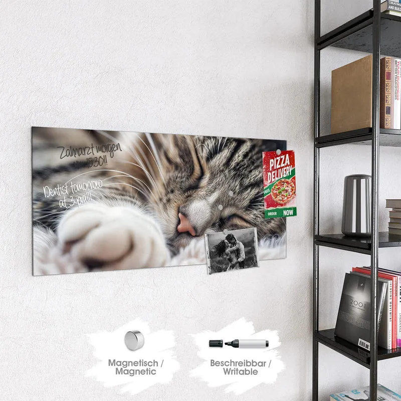 Glas Magnettafel - Schlafende Katze