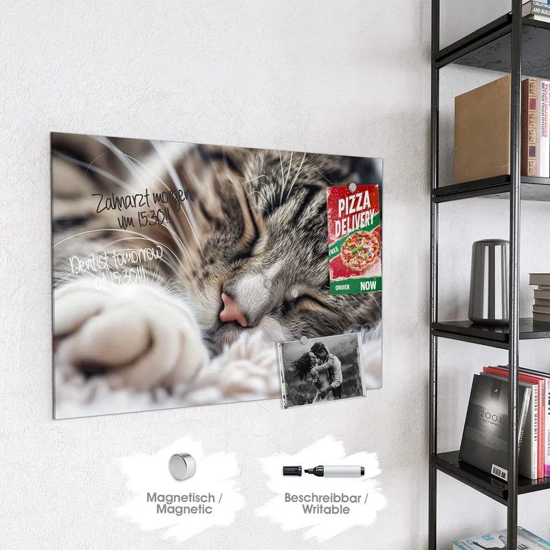 Glas Magnettafel - Schlafende Katze
