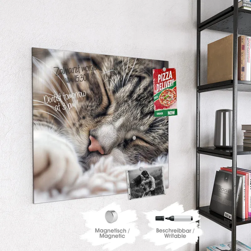 Glas Magnettafel - Schlafende Katze