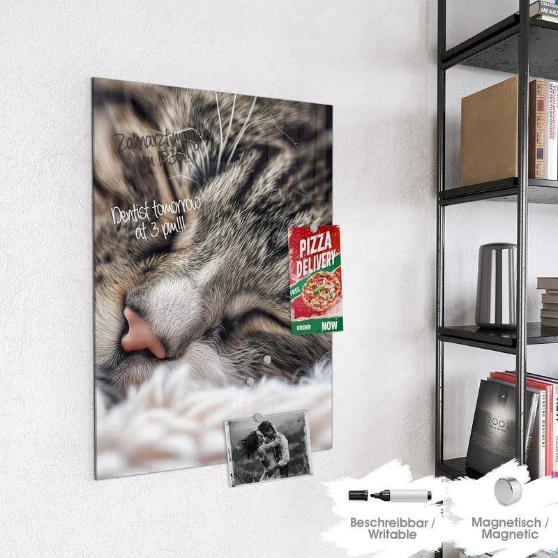 Glas Magnettafel - Schlafende Katze