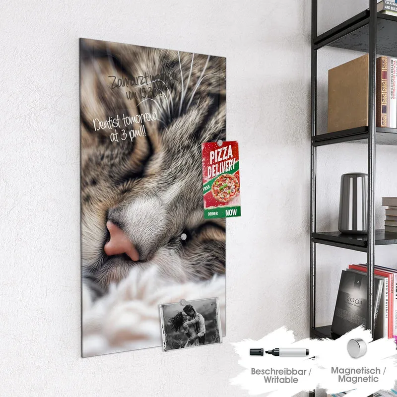 Glas Magnettafel - Schlafende Katze