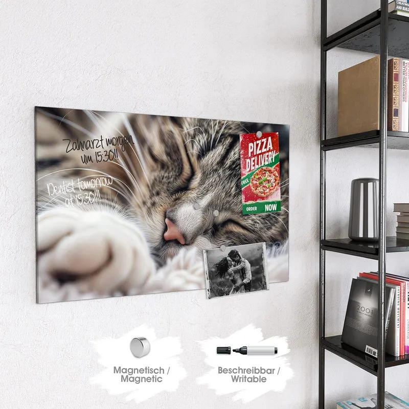 Glas Magnettafel - Schlafende Katze