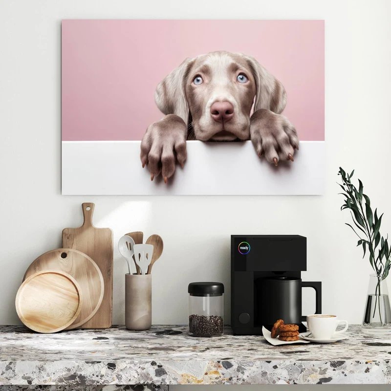 Metall Magnettafel - Weimaraner Welpe
