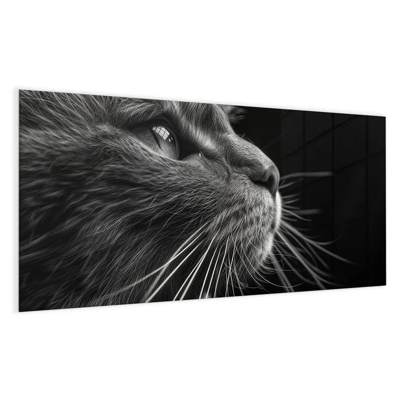 Glas Magnettafel - Katze in Schwarzweiß