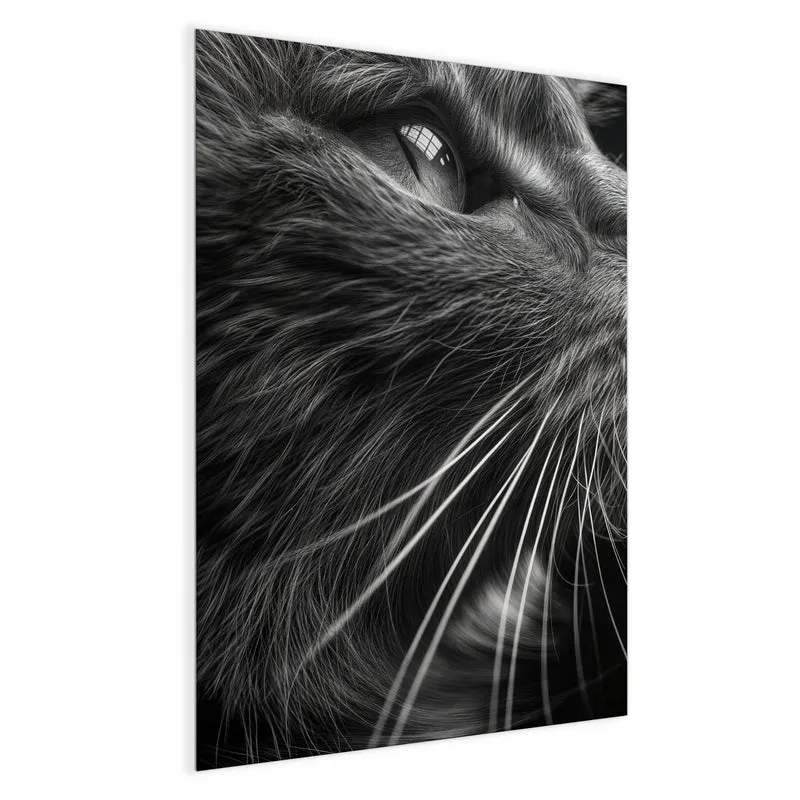 Glas Magnettafel - Katze in Schwarzweiß