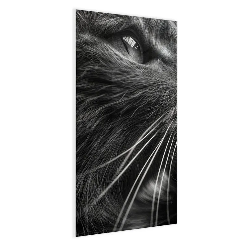 Glas Magnettafel - Katze in Schwarzweiß