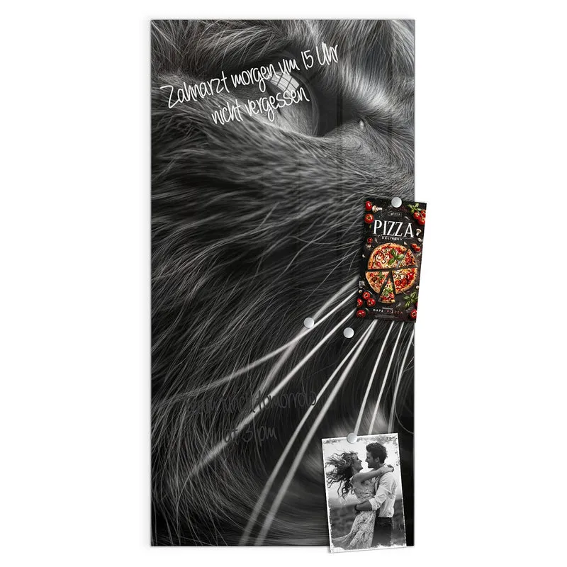 Glas Magnettafel - Katze in Schwarzweiß
