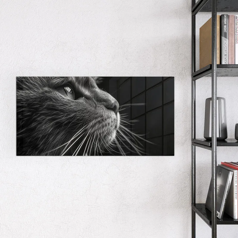 Glas Magnettafel - Katze in Schwarzweiß