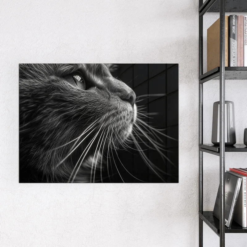 Glas Magnettafel - Katze in Schwarzweiß