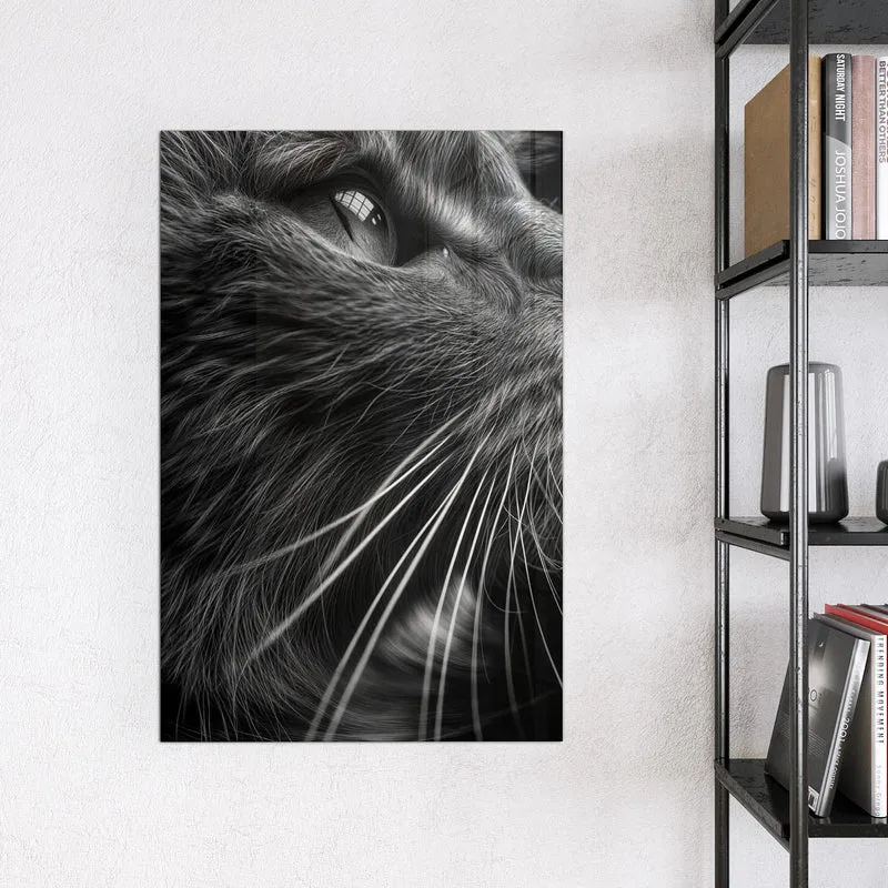 Glas Magnettafel - Katze in Schwarzweiß