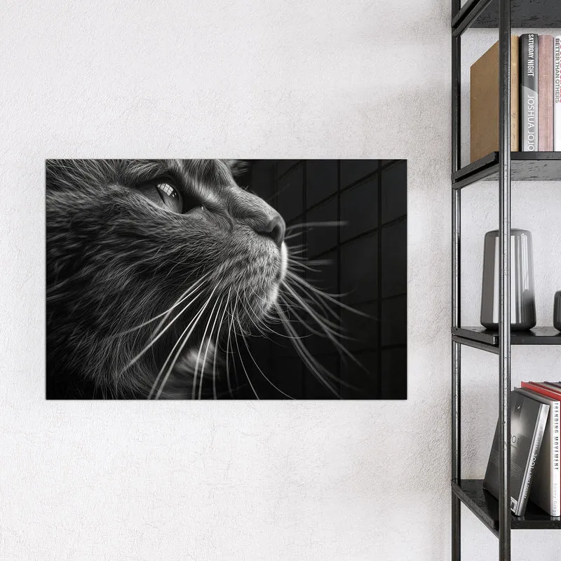 Glas Magnettafel - Katze in Schwarzweiß