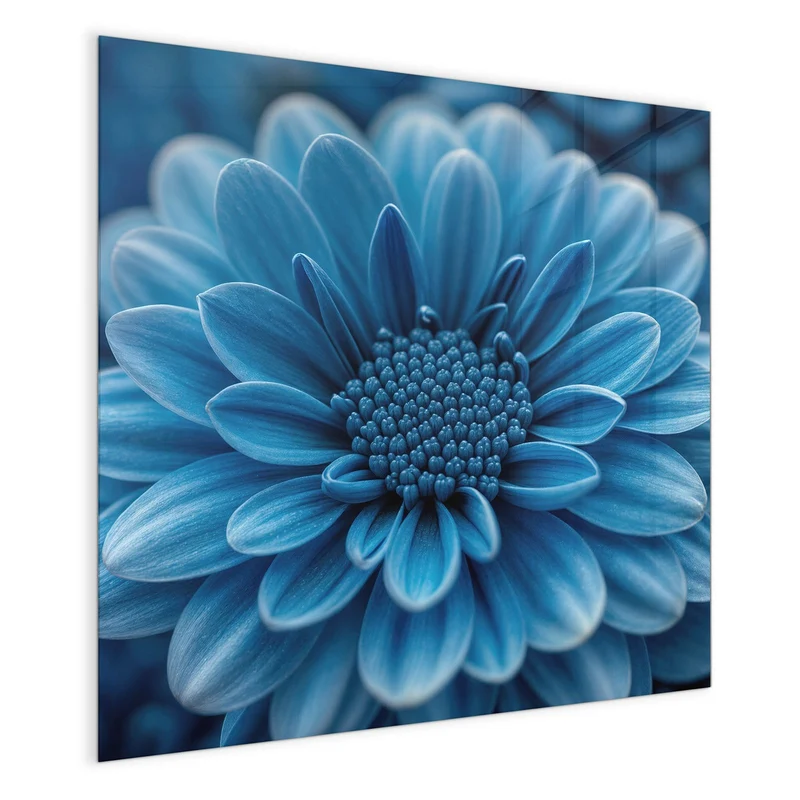 Glas Magnettafel - Blaue Chrysantheme