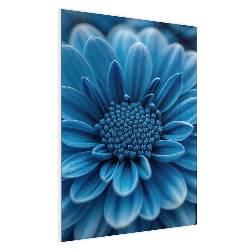 Glas Magnettafel - Blaue Chrysantheme