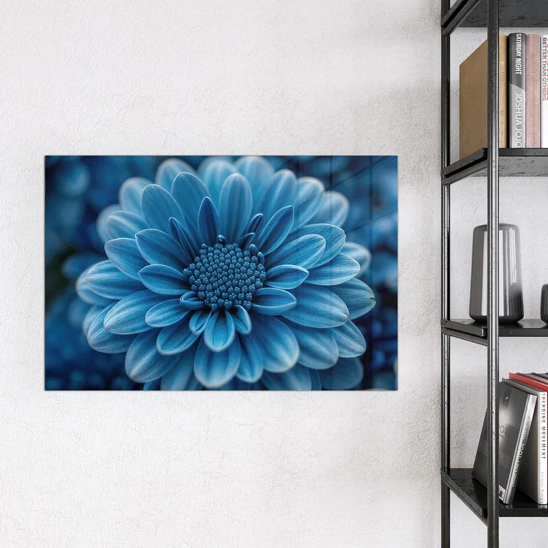 Glas Magnettafel - Blaue Chrysantheme