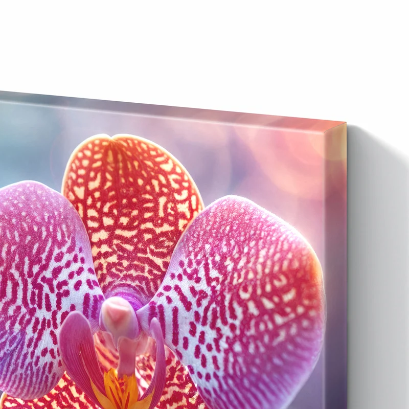Metall Magnettafel - Exotische Orchidee