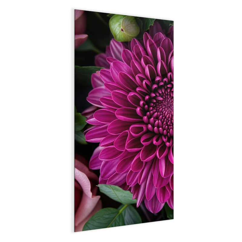 Glas Magnettafel - Magenta Chrysantheme