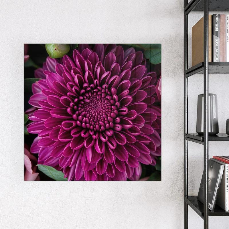 Glas Magnettafel - Magenta Chrysantheme