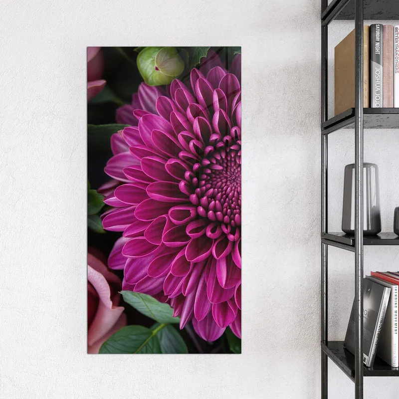 Glas Magnettafel - Magenta Chrysantheme