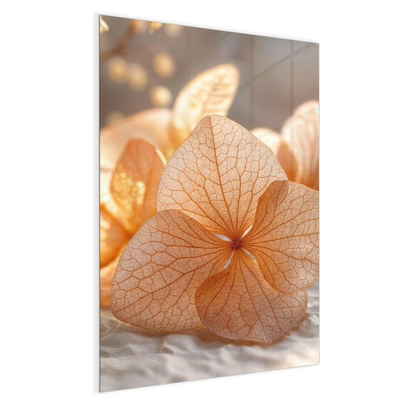 Glas Magnettafel - Hortensie in Apricot