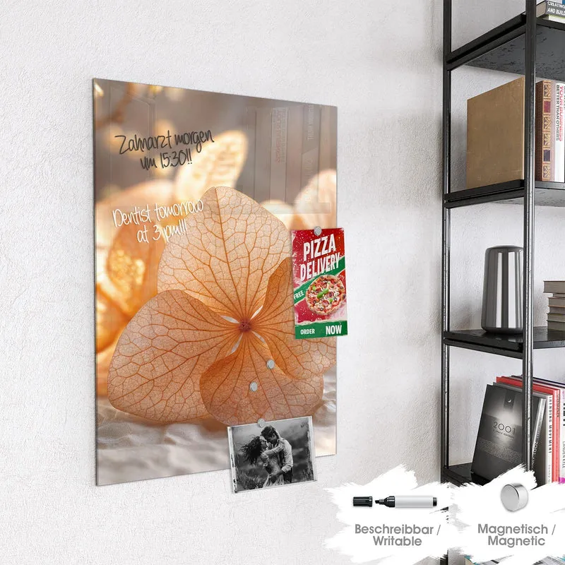 Glas Magnettafel - Hortensie in Apricot